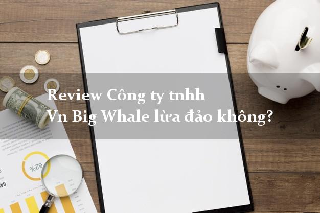 Review Công ty tnhh Vn Big Whale lừa đảo không?
