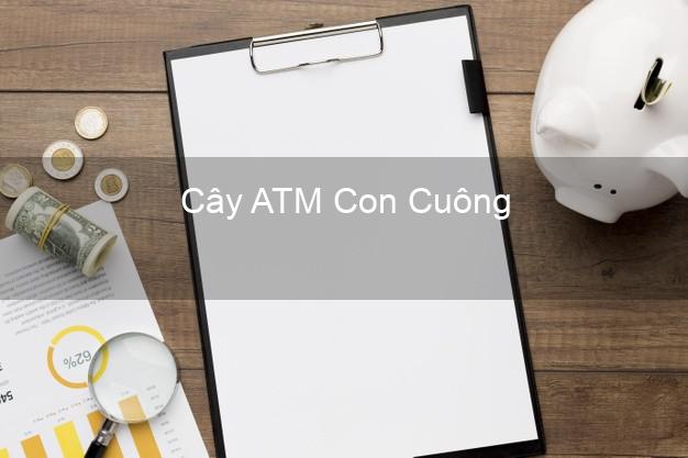 Cây ATM Con Cuông Nghệ An