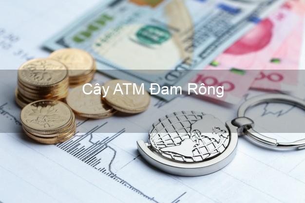 Cây ATM Đam Rông Lâm Đồng