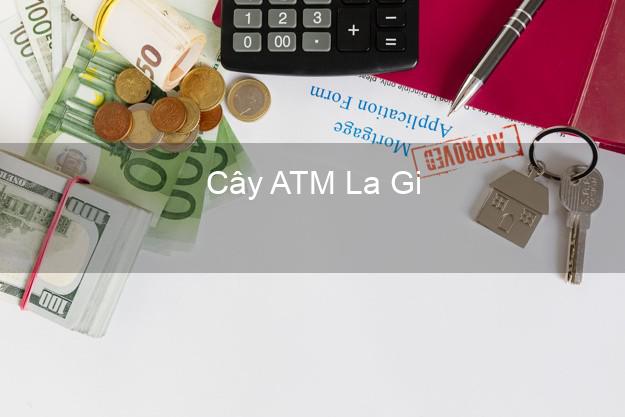Cây ATM La Gi Bình Thuận